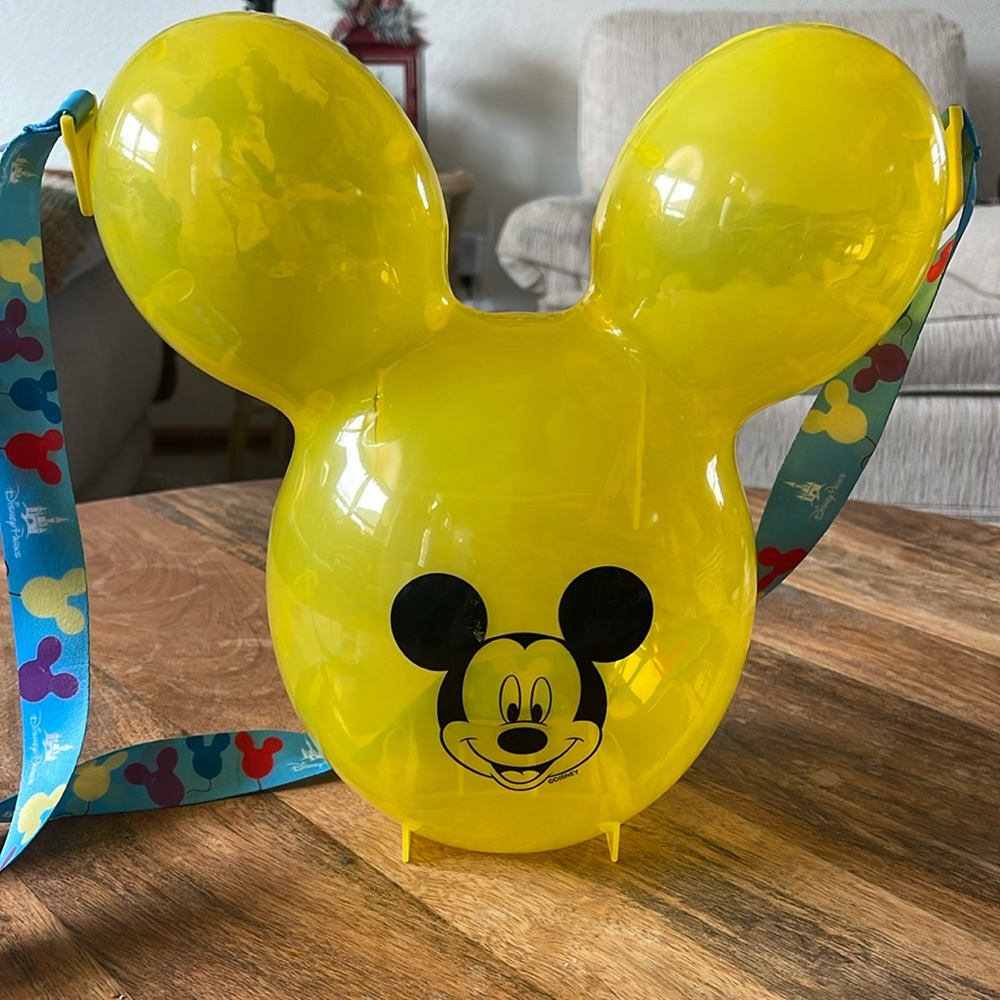 Walt Disney world popc bucket